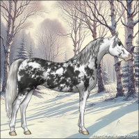 Horse Color:Liver Chestnut Mushroom Sabino 