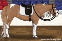 Horse Color:Chestnut Splash Tobiano