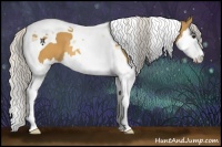 Horse Color:Silver Buckskin Splash Tobiano 
