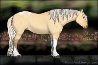 Horse Color:Silver Buckskin Dun Tobiano 
