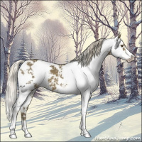 Horse Color:Chocolate Palomino Mushroom Sabino 