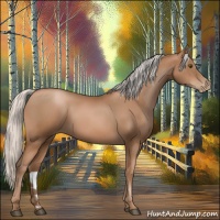 Horse Color:Silver Brown Pearl