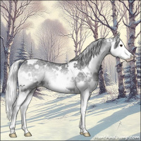 Horse Color:White Spotted Silver Blue Onyx Chinchilla Ice Splash 