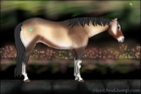 Horse Color:Brown Onyx