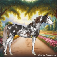 Horse Color:White Spotted Liver Chestnut Splash 