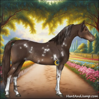 Horse Color:White Spotted Liver Chestnut Tobiano Rabicano