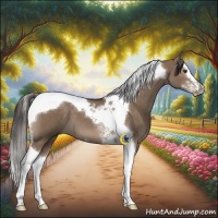 Horse Color:Liver Red Dun Splash Tobiano 