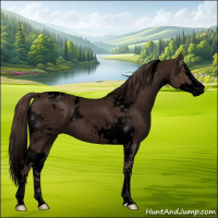 Horse Color:Void Liver Red Roan Splash Tobiano
