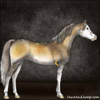 Horse Color:Chocolate Palomino Onyx Sabino 