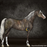 Horse Color:Liver Red Dun Ice Mushroom Sabino 