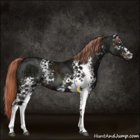 Horse Color:White Spotted Liver Chestnut Ice 