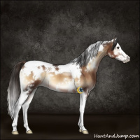 Horse Color:White Spotted Liver Red Onyx Splash Tobiano 
