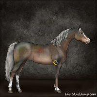 Horse Color:Liver Chestnut Mushroom Sabino 