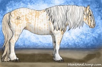 Horse Color:Palomino  and White Spotted Palomino 