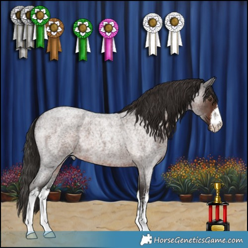 Horse Color:White Spotted Liver Red Roan 