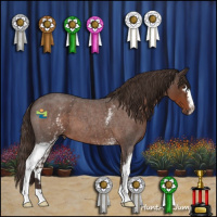 Horse Color:White Spotted Liver Red Roan