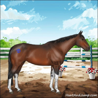 Horse Color:Brown Tobiano 