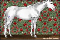 Horse Color:Gray Bay 