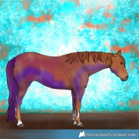 Horse Color:Chestnut Tobiano 