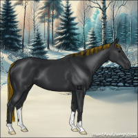 Horse Color:Painted Black 