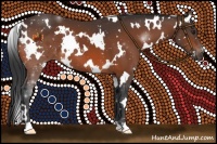 Horse Color:White Spotted Brown 