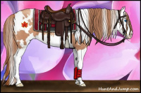 Horse Color:White Spotted Gold Champagne Splash 