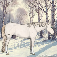 Horse Color:Perlino Roan 