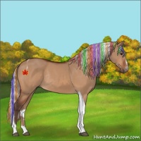 Horse Color:Painted Silver Bay Dun Sabino Tobiano Rabicano 