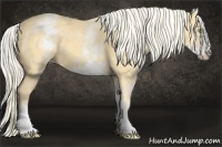 Horse Color:White Spotted Gold Cream Champagne