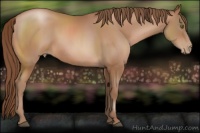 Horse Color:Brown Pearl