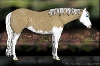 Horse Color:Silver Smoky Black Splash 