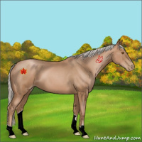 Horse Color:Silver Black Pearl 
