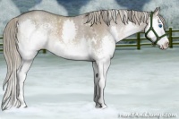 Horse Color:White Spotted Liver Red Dun Mushroom Splash Rabicano 