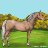 Horse Color:Silver Brown Roan Pearl 