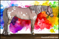 Horse Color:White Spotted Chocolate Palomino Dun Rabicano
