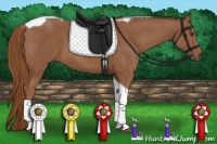 Horse Color:Chestnut Tobiano