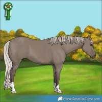 Horse Color:Silver Grullo