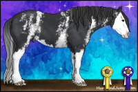 Horse Color:White Spotted Black Splash 