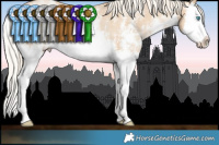 Horse Color:Palomino Pearl Sabino Splash Rabicano 