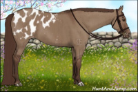 Horse Color:Liver Red Dun Appaloosa Brindle