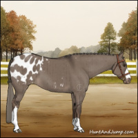 Horse Color:Liver Red Dun Mushroom Blanket Brindle 
