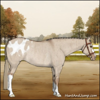 Horse Color:Red Dun Mushroom Varnish Rabicano Brindle