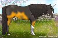 Horse Color:Smoky Black 