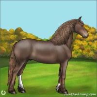 Horse Color:Liver Chestnut Sabino 