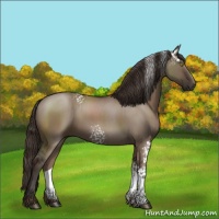Horse Color:White Spotted Liver Red Dun Rabicano 