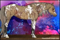 Horse Color:Liver Chestnut Tobiano  and Chocolate Palomino Dun 