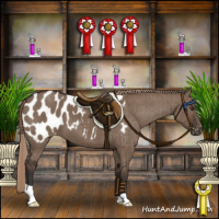 Horse Color:Liver Red Dun Appaloosa Brindle