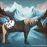 Horse Color:Midnight Chestnut Ice Appaloosa 