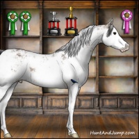 Horse Color:Bay Sabino Rabicano 