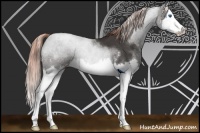 Horse Color:Liver Red Roan Sabino Splash 